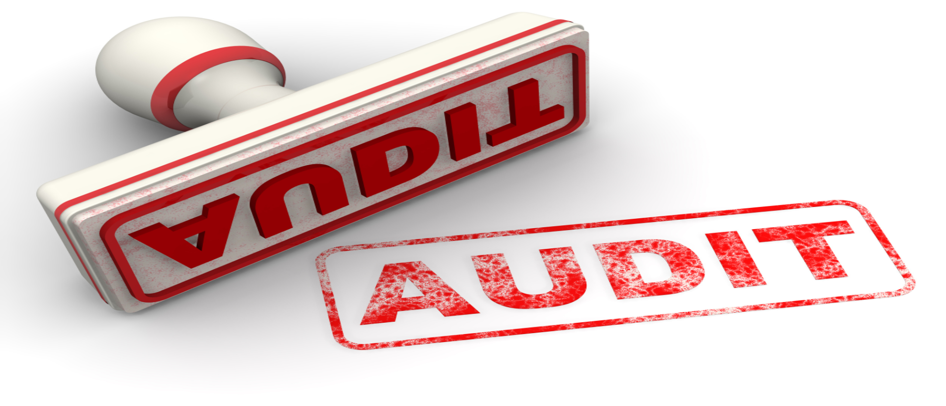 auditing