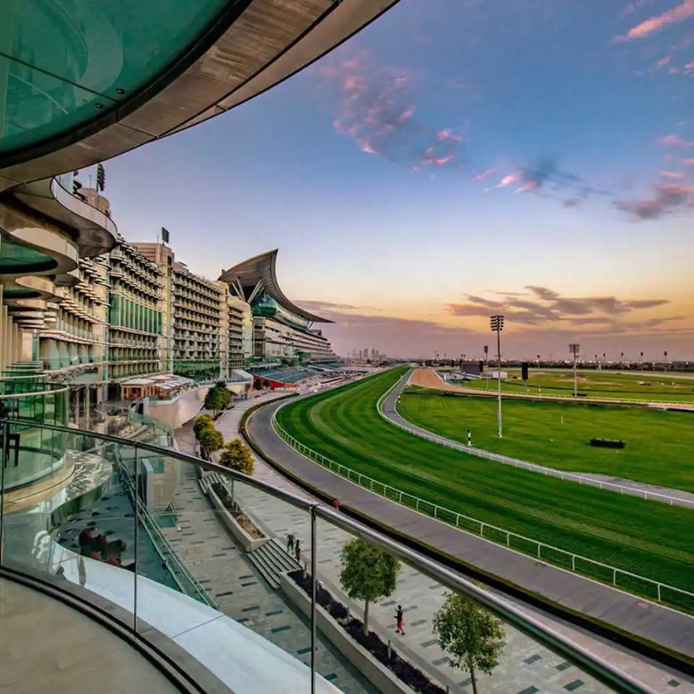 meydan-free-zone-authorize-agent