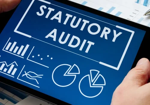 Statutory-and-Annual-Audit