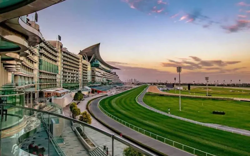 meydan-free-zone-authorize-agent